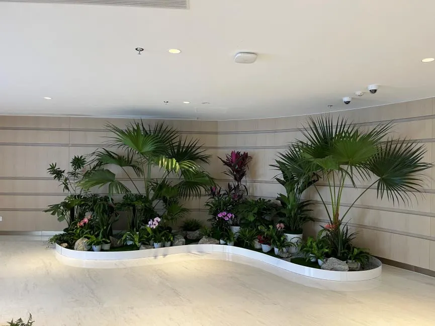 杭州湾盆景出租公司 杭州湾盆景出租公司